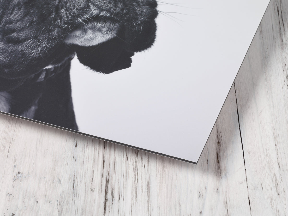 Dibond Wall Art - Lightweight Custom Fine Art Metal Print