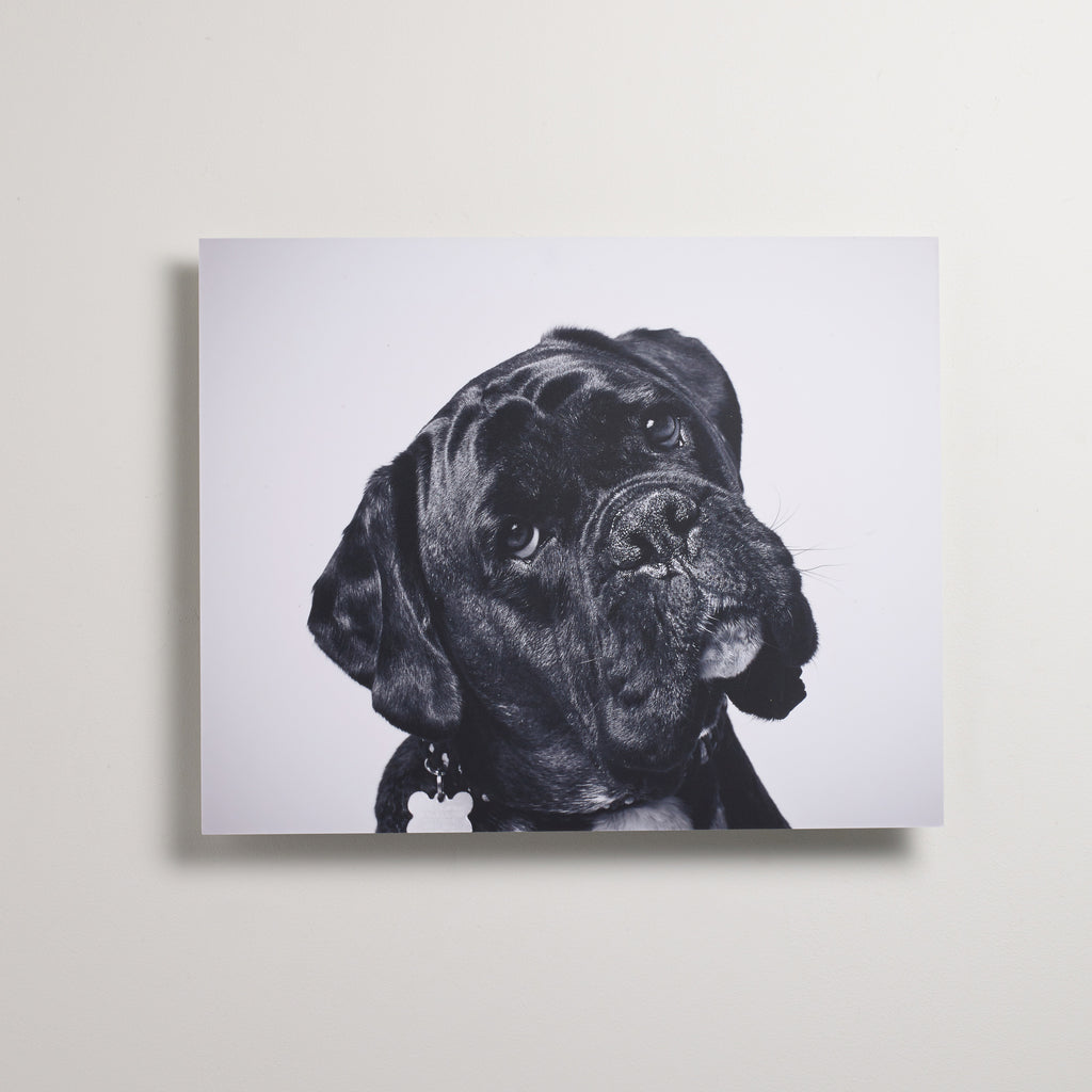 Dibond Wall Art - Lightweight Custom Fine Art Metal Print