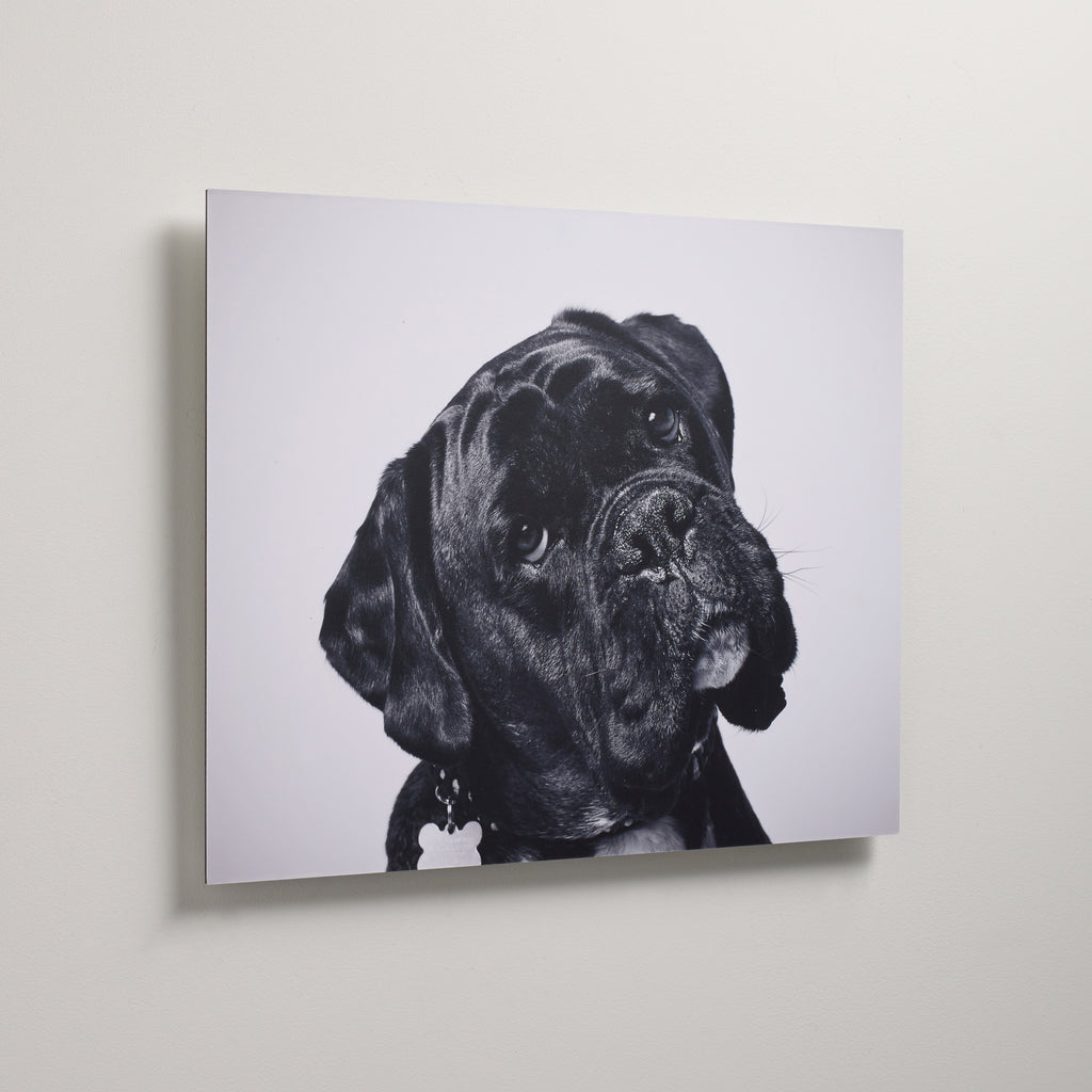Dibond Wall Art - Lightweight Custom Fine Art Metal Print