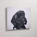 Dibond Wall Art - Lightweight Custom Fine Art Metal Print