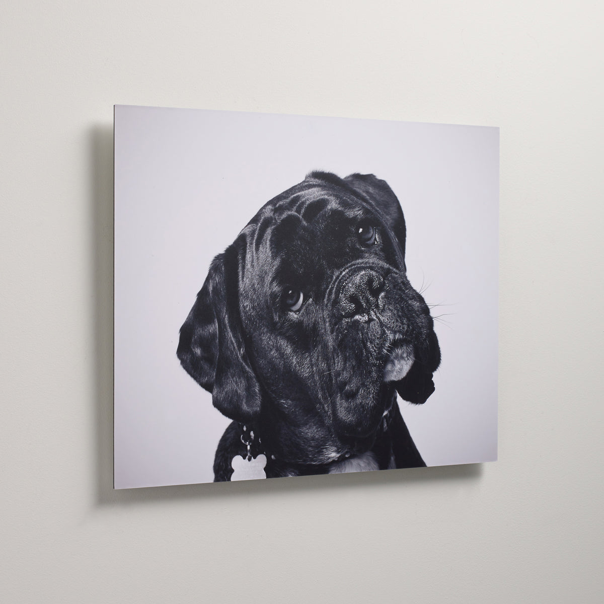Dibond Wall Art - Lightweight Custom Fine Art Metal Print